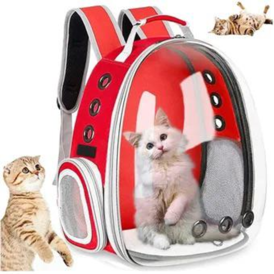Maleta Transportadora Transparente para Gatos y Perros